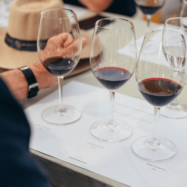 Quinta da Fonte Souto